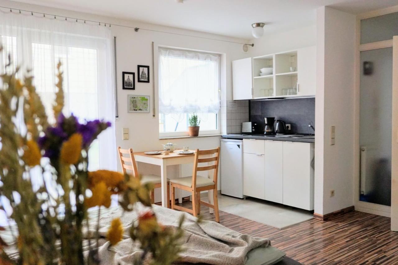 Gemuetliche Ferienwohnung In Ruhiger Lage Dresden Eksteriør billede